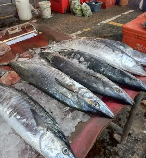 Credit Siriwat Nagninthong Trat Travel Fisherman's Market 04
