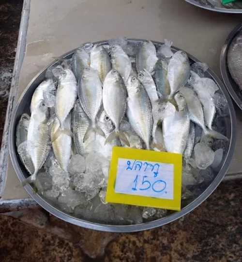 Credit Siriwat Nagninthong Trat Travel Fisherman's Market 09