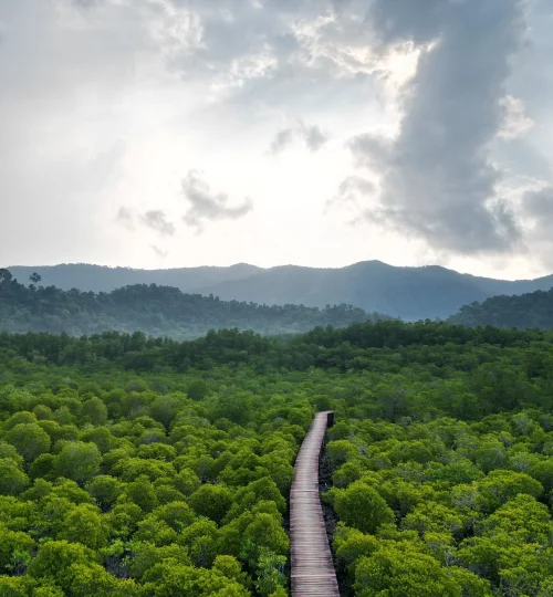 เกาะช้าง เพจ Kooncharaburi Resort - Koh Chang